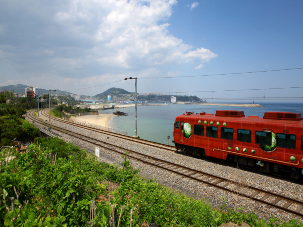 P15382770.jpg