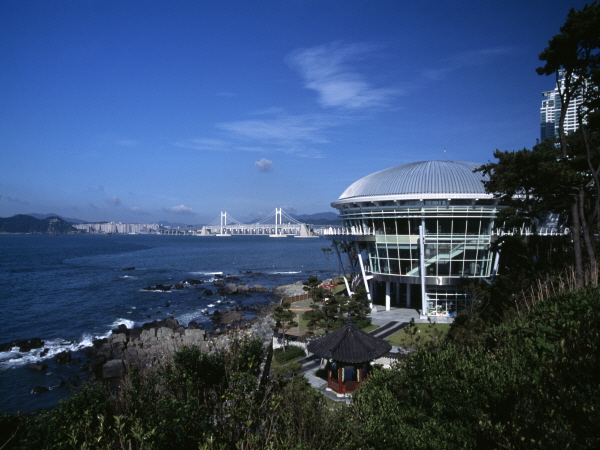 P10037334.jpg