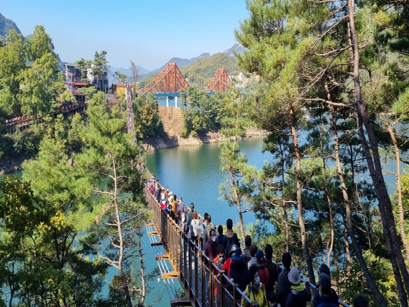 P16157466.jpg