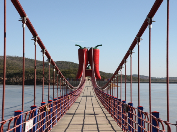 P16308186