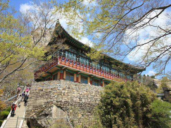P16517037
