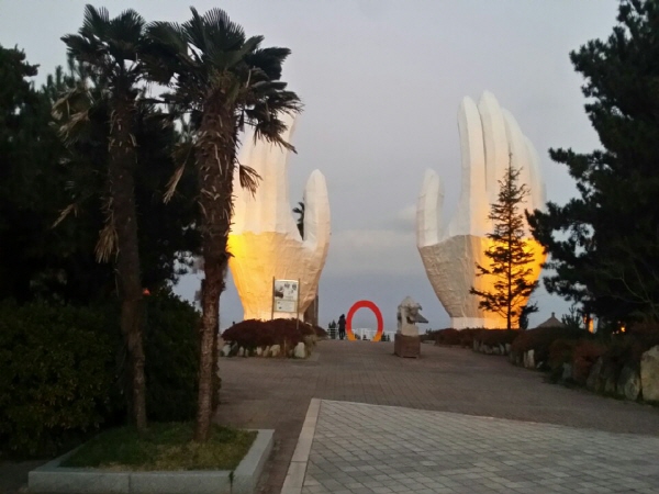 P16026488.jpg